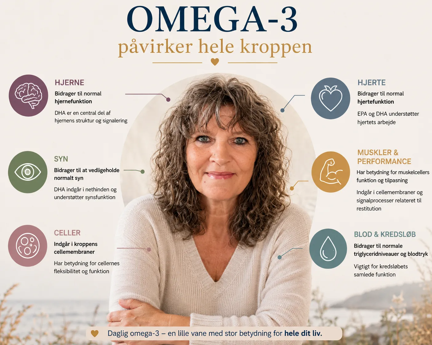 Oversigt: omega-3 påvirker hele kroppen. Hjerne — bidrager til normal hjernefunktion. Hjerte — bidrager til normal hjertefunktion. Syn — bidrager til at vedligeholde normalt syn. Muskler og performance — har betydning for muskelcellers funktion og tilpasning. Celler — indgår i kroppens cellemembraner. Blod og kredsløb — bidrager til normale triglyceridniveauer og blodtryk.